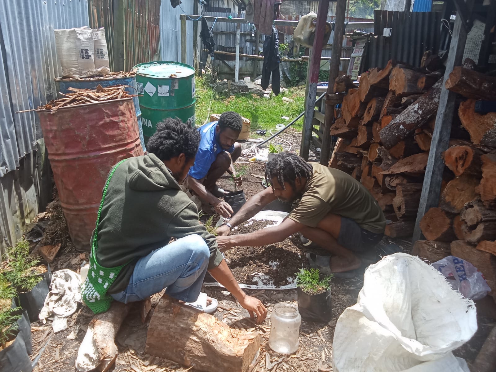Kodim 1714/Puncak Jaya Bersama Rakyat Tanam Bibit Cemara Sebagai Generasi Mendatang Untuk Kabupaten Puncak Jaya