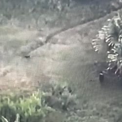 Anggota OPM Kodap III/Puncak Pimpinan Lekagak Talenggen Bakar Rumah Warga di Kampung Muara Distrik Pogoma, Tim Patroli Koops TNI Habema Amankan Lokasi