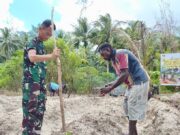 Manfaatkan Lahan Tidur, Satgas TMMD Ke-128 Kodim 1710/Mimika Tanam Jagung Bersama Warga