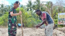 Manfaatkan Lahan Tidur, Satgas TMMD Ke-128 Kodim 1710/Mimika Tanam Jagung Bersama Warga Manfaatkan Lahan Tidur, Satgas TMMD Ke-128 Kodim 1710/Mimika Tanam Jagung Bersama Warga