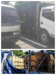 Warga Joho Kaget Rumah Tetangga Jadi Gudang Solar Ilegal