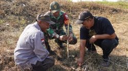 Pembinaan Lingkungan Hidup, Kodim Bojonegoro Tanam Ribuan Pohon Kayu Putih dan Balsa Pembinaan Lingkungan Hidup, Kodim Bojonegoro Tanam Ribuan Pohon Kayu Putih dan Balsa
