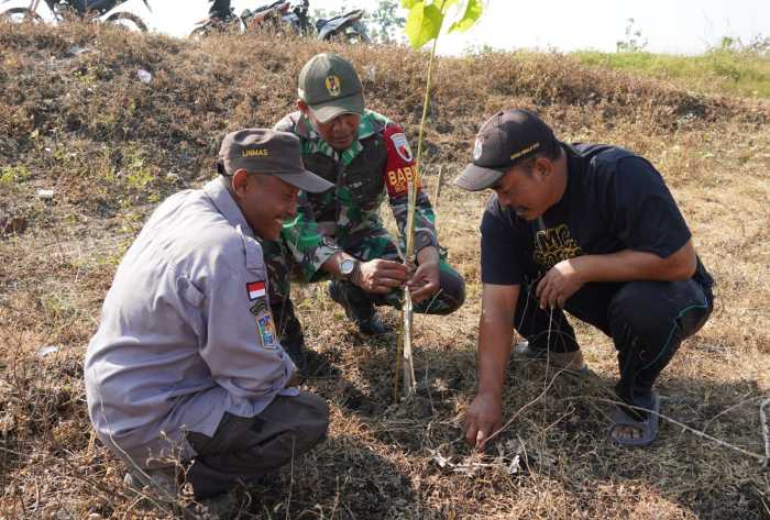 Pembinaan Lingkungan Hidup, Kodim Bojonegoro Tanam Ribuan Pohon Kayu Putih dan Balsa Pembinaan Lingkungan Hidup, Kodim Bojonegoro Tanam Ribuan Pohon Kayu Putih dan Balsa