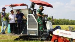 Dukung Ketahanan Pangan, Dandim Bojonegoro Hadiri Wiwit Massal dan Panen Raya Padi Dukung Ketahanan Pangan, Dandim Bojonegoro Hadiri Wiwit Massal dan Panen Raya Padi