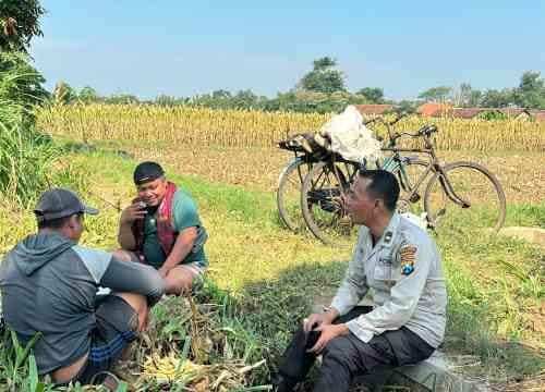 Sokong Ketahanan Pangan, Polsek Wonoasih Sambangi Petani Pakistaji
