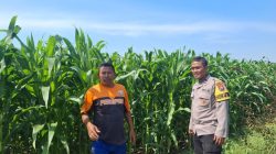 Polres Probolinggo Kota Dorong Produktivitas Pertanian Lewat Sambang Kamtibmas