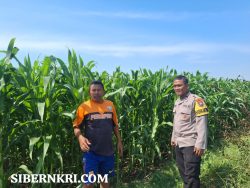 Polres Probolinggo Kota Dorong Produktivitas Pertanian Lewat Sambang Kamtibmas