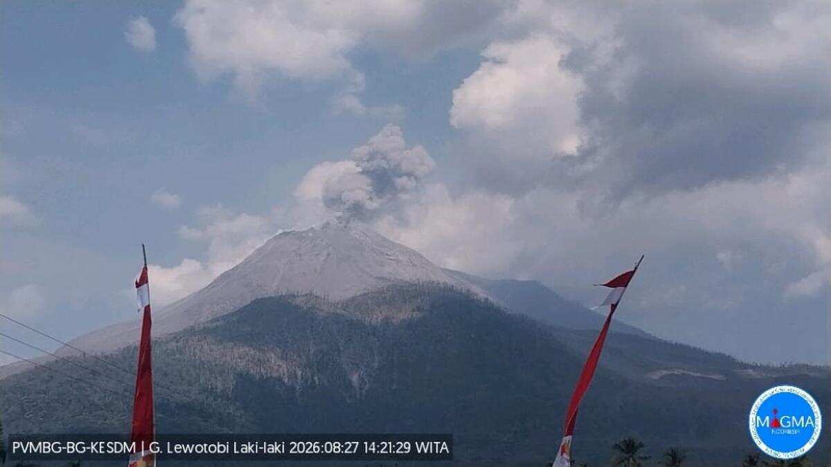 Erupsi Gunung Lewotobi Laki-Laki: Ketinggian Kolom Abu Mencapai 2500 Meter