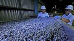 Valuasi Cadangan Nikel-Kobalt Indonesia