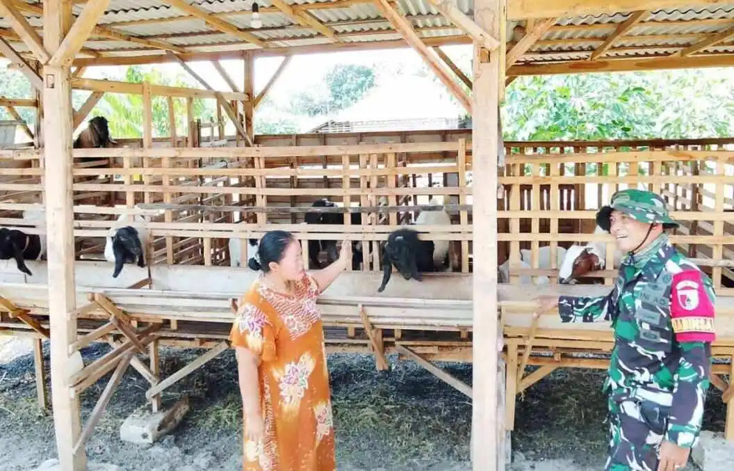 TMMD 129 Bojonegoro: Babinsa Kesongo 'Sentuh Hati' Peternak Kambing