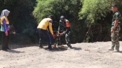 Sinergi Hijau di TMMD 129 Bojonegoro: Babinsa Kesongo dan DLH 'Keroyokan' Buat Lubang Tanam Pohon untuk Jaga Tanggul Sungai