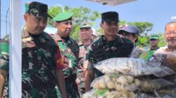 Wajah Baru UMKM Desa Kesongo, Sentuhan TMMD 129 Bojonegoro Dorong Ekonomi Mandiri Wajah Baru UMKM Desa Kesongo, Sentuhan TMMD 129 Bojonegoro Dorong Ekonomi Mandiri