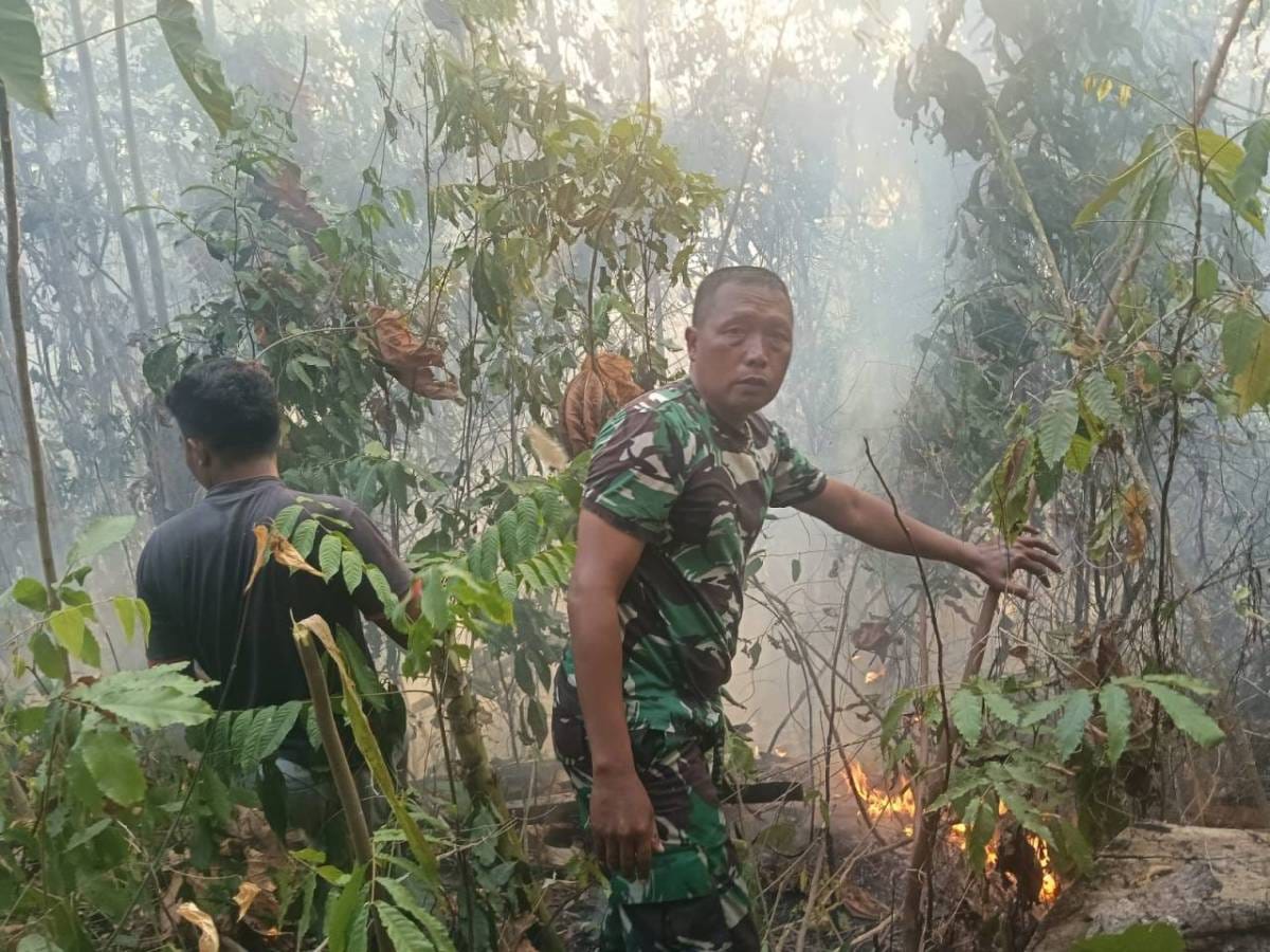 Sigap Tangani Kebakaran, Koramil 1505-05/Sofifi Bersama Damkar dan Warga Padamkan Api Sigap Tangani Kebakaran, Koramil 1505-05/Sofifi Bersama Damkar dan Warga Padamkan Api