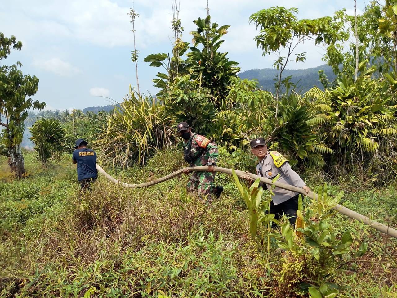 Babinsa Koramil Maba Turun Tangan, Cegah Api Meluas di Lahan Warga