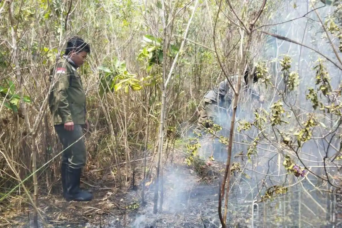 Operasi Modifikasi Cuaca di Lampung untuk Penanganan Karhutla