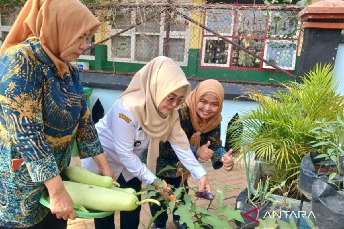 Pengolahan Daun Kering Menjadi Pupuk Organik di Kelurahan Pinang Ranti Pengolahan Daun Kering Menjadi Pupuk Organik di Kelurahan Pinang Ranti