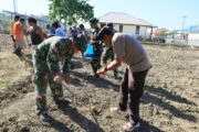TMMD Ke-129 Tak Hanya Membangun, Tapi Juga Menanam Harapan Melalui Ketahanan Pangan