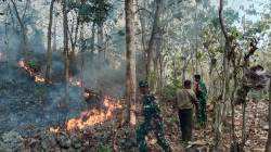TNI Kerahkan 14.167 Personel Tangani Karhutla di Sejumlah Wilayah