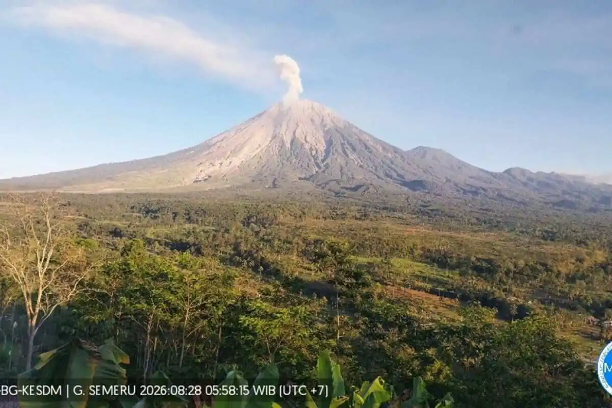 Aktivitas Vulkanik Gunung Semeru: 21 Kali Gempa Letusan dalam Enam Jam