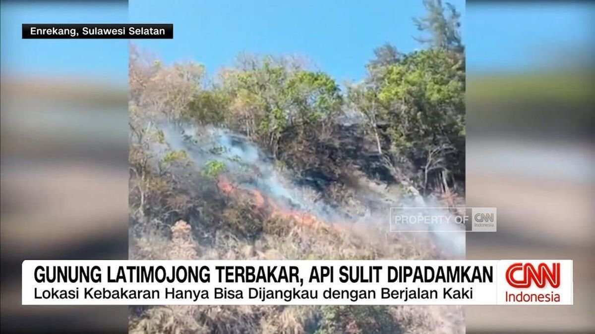 Kebakaran Hutan di Gunung Latimojong: Tantangan Pemadaman Api Kebakaran Hutan di Gunung Latimojong: Tantangan Pemadaman Api