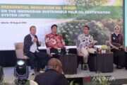 Kewajiban Sertifikasi ISPO bagi Pekebun Sawit di Indonesia