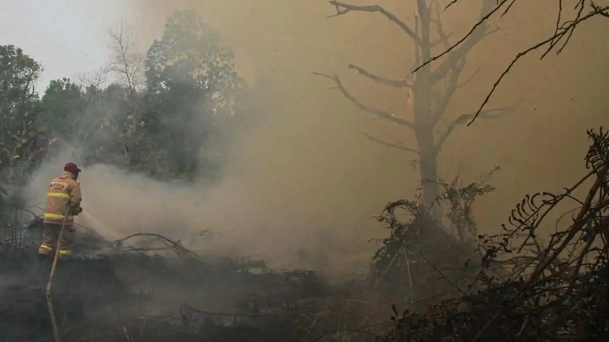 Bantuan Helikopter Jepang untuk Penanganan Karhutla di Kalimantan