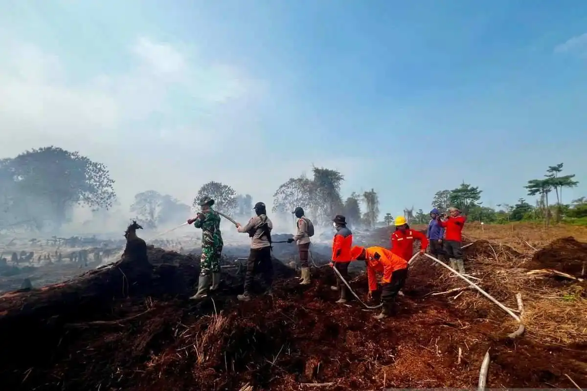 Upaya Terpadu Cegah Karhutla di Jambi