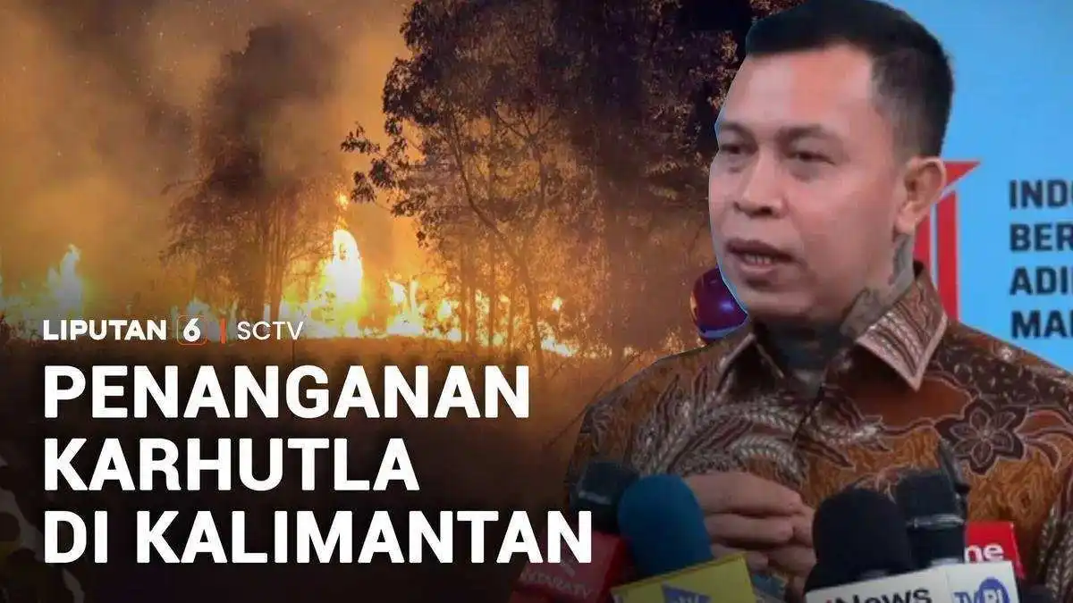 Tindakan Penanganan Kebakaran Hutan di Kalimantan