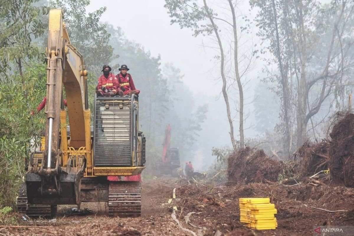 Upaya Pemadaman Karhutla di Hutan Lindung Gambut Londerang, Jambi