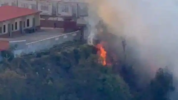 Kebakaran Hutan Melanda Tebing Seruni Bromo
