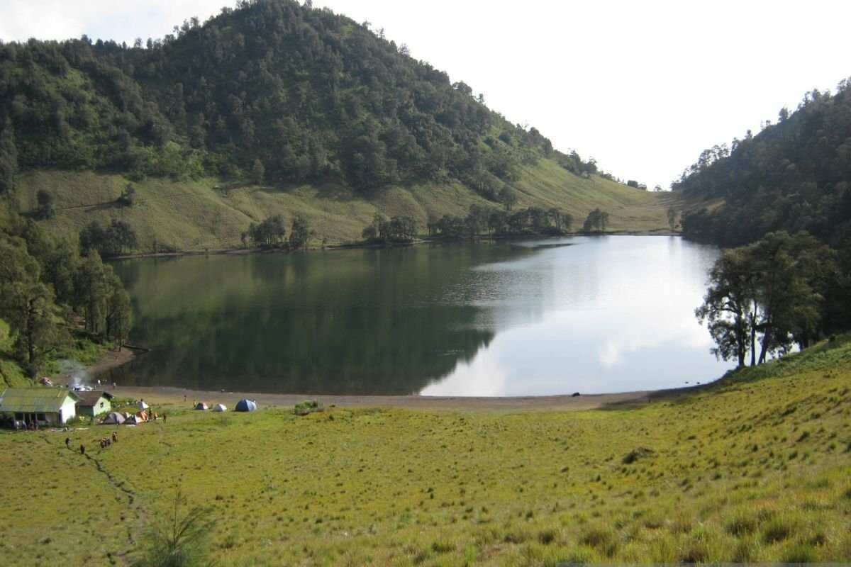 Situasi Terkini Ranu Kumbolo dan Kebakaran Hutan