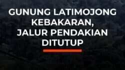 Kebakaran Melanda Gunung Latimojong: Jalur Pendakian Ditutup Kebakaran Melanda Gunung Latimojong: Jalur Pendakian Ditutup