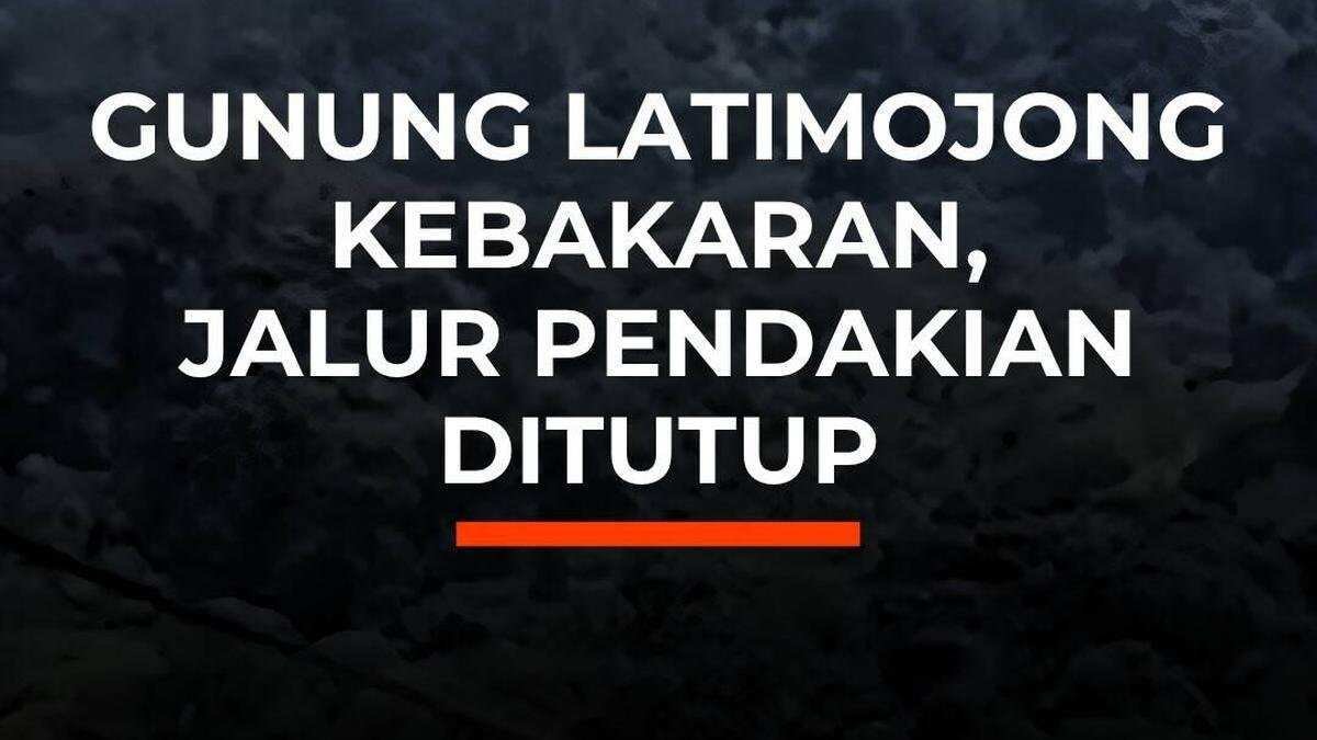 Kebakaran Melanda Gunung Latimojong: Jalur Pendakian Ditutup