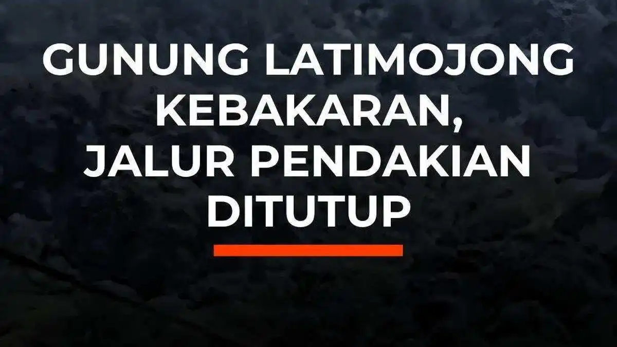 Kebakaran Melanda Gunung Latimojong: Jalur Pendakian Ditutup