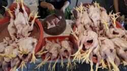 Kenaikan Harga Pangan di Jakarta: Daging Ayam dan Cabai Merah