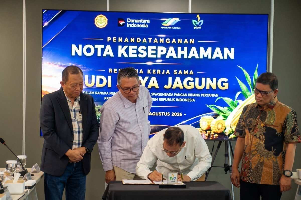 Optimalisasi Lahan Jagung oleh PTPN I untuk Ketahanan Pangan