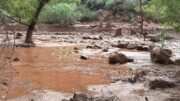 Banjir Bandang Melanda Grand Canyon: 15 Orang Hilang
