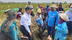 Amran Sulaiman Memastikan Penanganan Kekeringan di Karawang Amran Sulaiman Memastikan Penanganan Kekeringan di Karawang