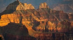 Banjir Bandang Grand Canyon: Lebih dari 20 Orang Hilang