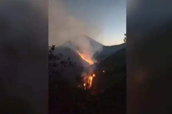 Evakuasi 170 Pendaki Terkait Kebakaran Gunung Semeru