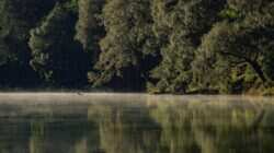 Evakuasi Pendaki di Ranu Kumbolo Akibat Karhutla Gunung Semeru Evakuasi Pendaki di Ranu Kumbolo Akibat Karhutla Gunung Semeru