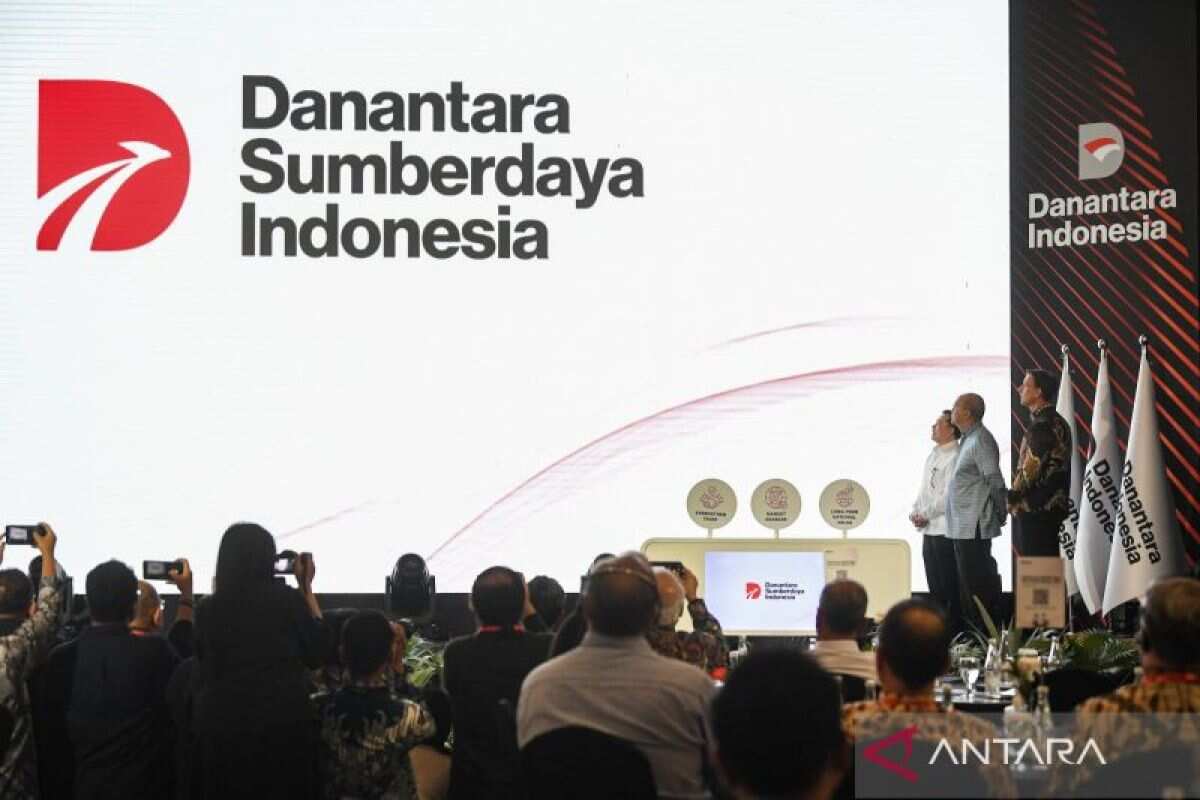 Sistem Sumber Daya Indonesia yang Terinspirasi oleh Singapura