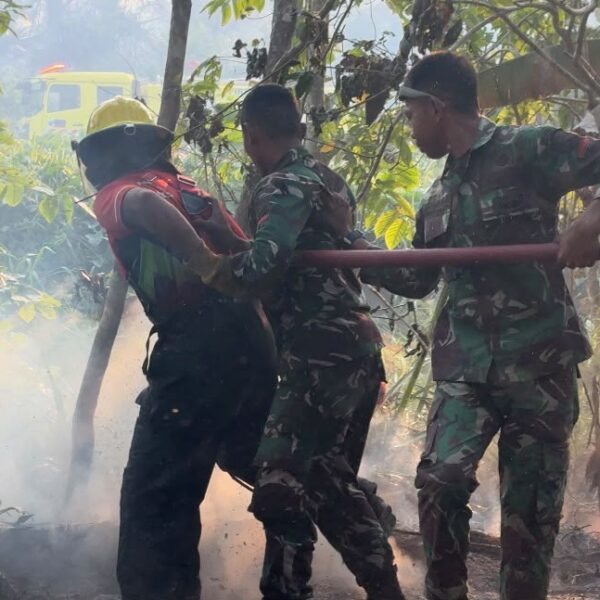 Gerak Cepat, TNI dan Tim Gabungan Berjuang Jinakkan Kebakaran Hutan dan Lahan 