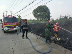 BABINSA BERSAMA DAMKAR DAN RELAWAN PADAMKAN KEBAKARAN LAHAN DI HARAPAN BARU