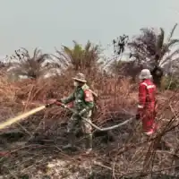 Penanganan Karhutla Sektor Selatan Kalbar Diperkuat, TNI Alihkan Perkuatan Pasukan