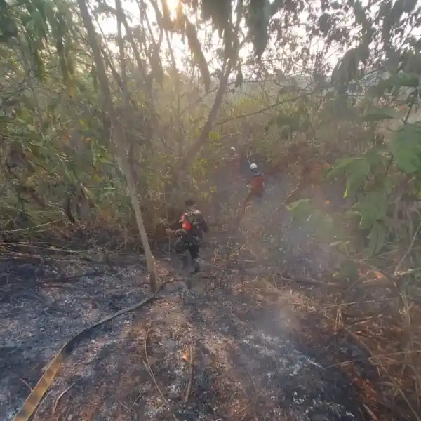Babinsa Kodim 0901/Samarinda  Bantu Padamkan Kebakaran Lahan di Bantuas, Api Berhasil Dikendalikan