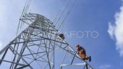 Sertifikasi Aset Kelistrikan PLN di Kotim Sertifikasi Aset Kelistrikan PLN di Kotim