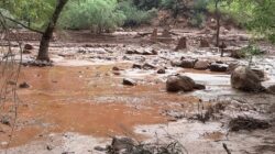 Banjir Bandang di Grand Canyon: Upaya Pencarian Terhadap 20 Orang yang Hilang Banjir Bandang di Grand Canyon: Upaya Pencarian Terhadap 20 Orang yang Hilang