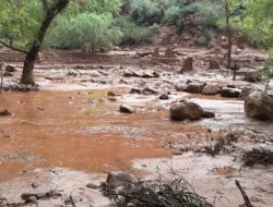 Banjir Bandang di Grand Canyon: Upaya Pencarian Terhadap 20 Orang yang Hilang