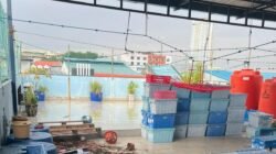 Pembunuhan Tragis di Batam: Seorang Asisten Rumah Tangga Tersangka Pembunuhan Tragis di Batam: Seorang Asisten Rumah Tangga Tersangka